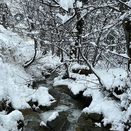 Agréable appartement de 6 pers au pieds des pistes ,wifi gratuit à Saint-Sorlin-d'Arves labelise 3 étoiles au gîte de France Esterno foto